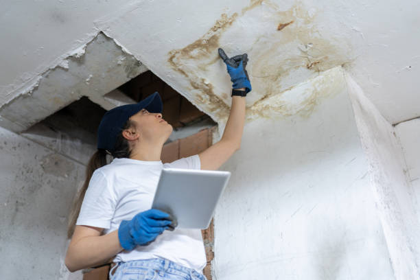Albuquerque Free Mold Testing by Free Mold Inspections New Mexico. An inspector examines a severely water-stained and possibly moldy ceiling with a gloved hand while holding a digital tablet.