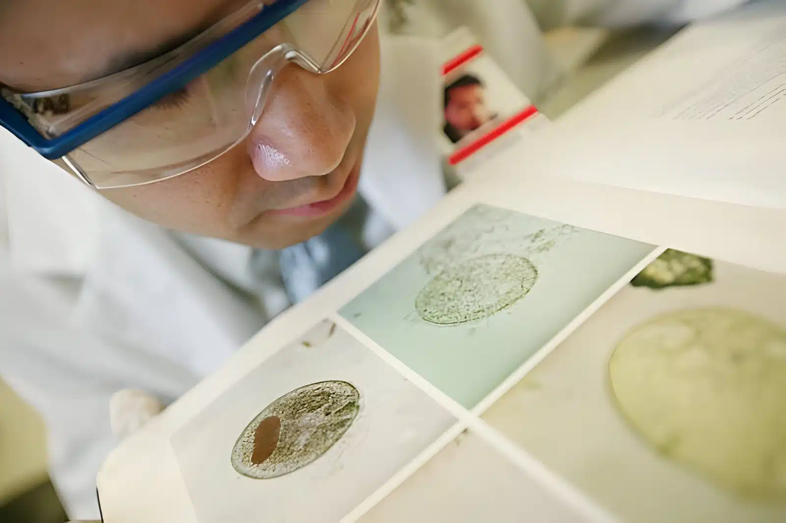 A person wearing safety goggles and a white lab coat closely examines images of magnified spores or organisms in a book, part of the lab analysis for Albuquerque Free Mold Testing by Free Mold Inspections New Mexico.