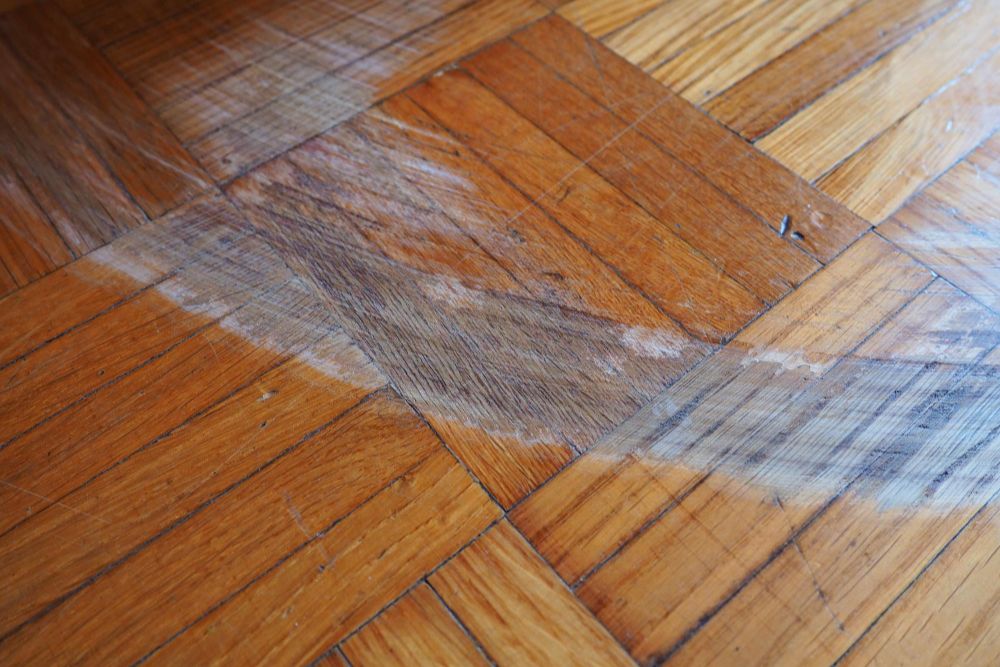 Damaged hardwood floor with wax buildup and discoloration before Greensboro hardwood wax removal service.