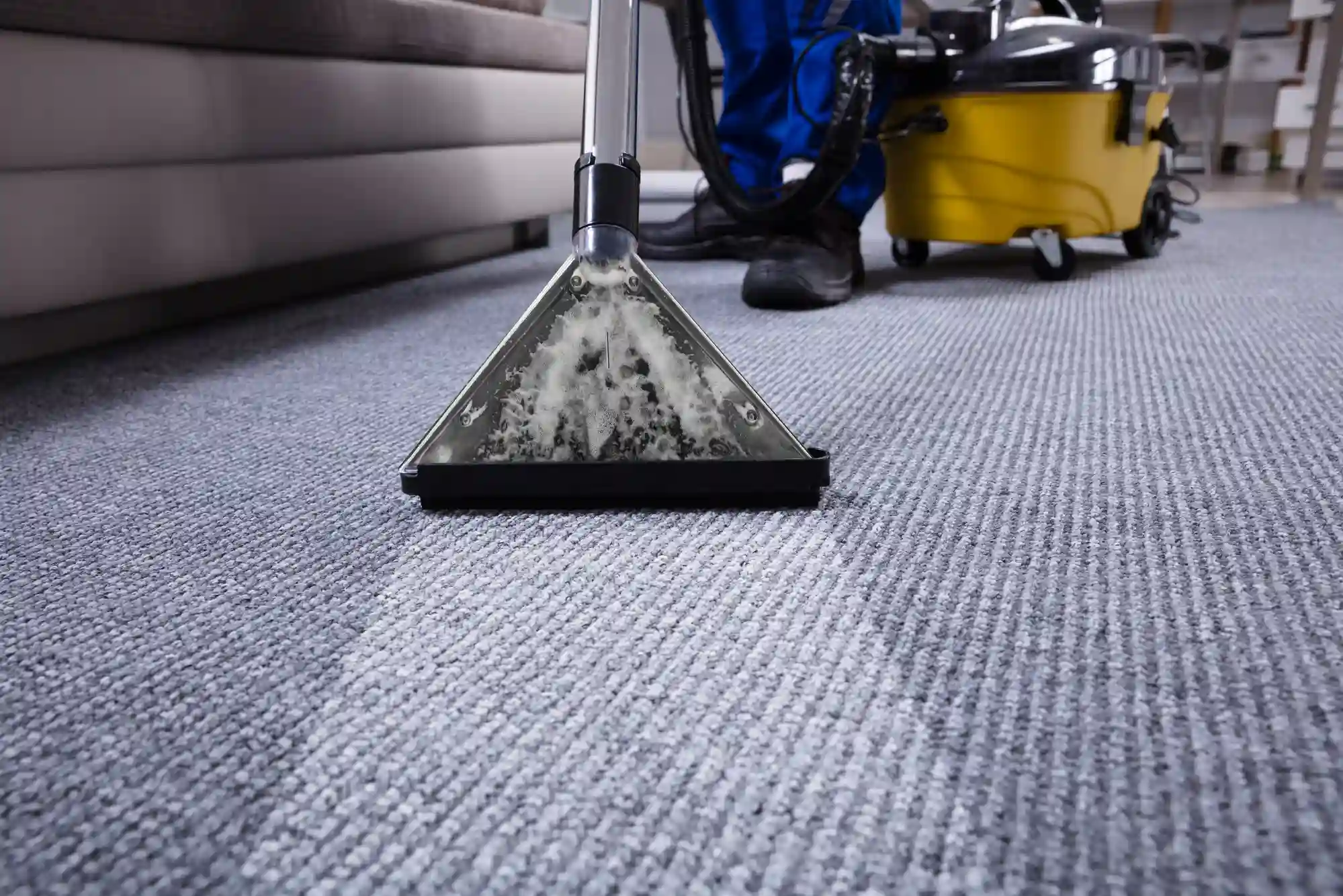 Close-up of a carpet cleaning professional using a hot water extraction machine on a light gray carpet in Upper Marlboro MD Carpet Cleaning. The cleaning wand reveals a distinct line between the dirty and freshly cleaned carpet fibers, illustrating the deep cleaning process offered by Triangle Legacy.