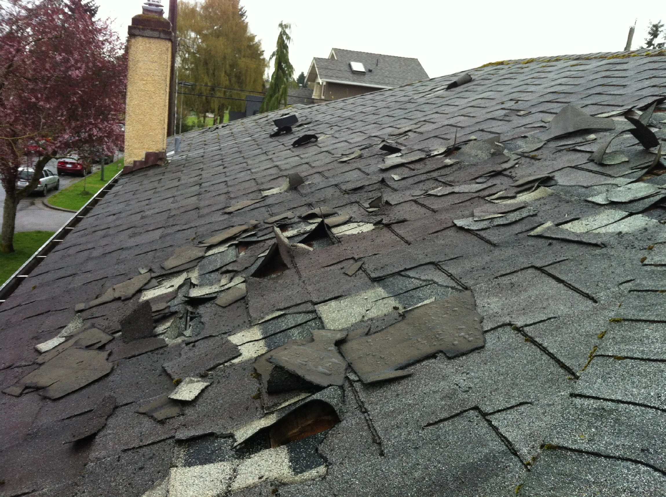 Close-up view of a severely damaged asphalt shingle roof, with many shingles torn, lifted, and missing granules after a storm, demonstrating the need for Carver MN Storm Damage Repair by Pro24 Contracting, Inc.