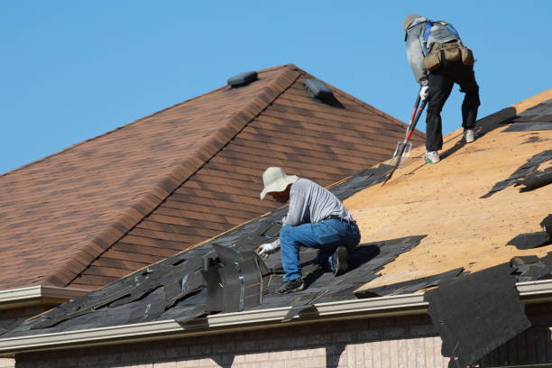 Roofing Replacement New Hanover NC by Burish Builders Wilmington: Workers stripping old shingles from a residential home.