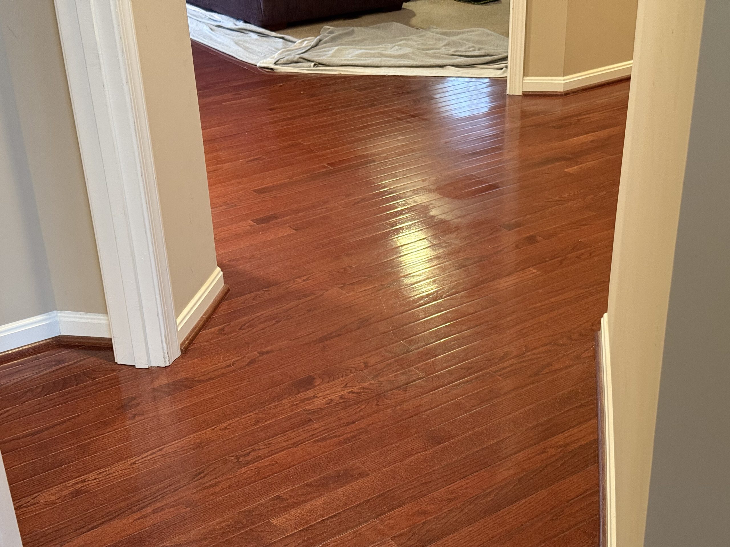 Hardwood Floor Wax Removal Montclair VA by Spotless Carpet Cleaning & Hardwood Floor Care featuring a polished hallway floor.