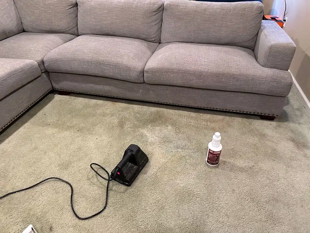 Residential Carpet Cleaning Montclair VA by Spotless Carpet Cleaning & Hardwood Floor Care treats deep stains on home carpet.