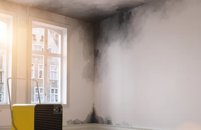 Smoke Damage Cleaning Colorado Springs CO by Premier Carpet Cleaning: professional soot removal and air purification.