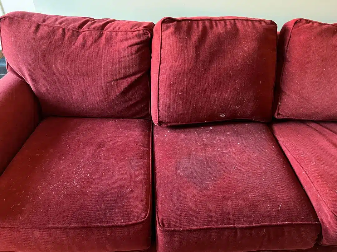 Before Upholstery Cleaning Montclair VA by Spotless Carpet Cleaning & Hardwood Floor Care showing stained red couch cushions.