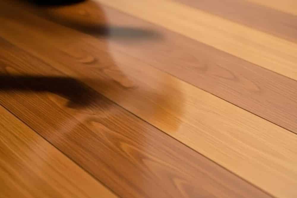 Glossy luxury vinyl plank flooring featuring LVT Deep Clean & Protect Redmond WA results.