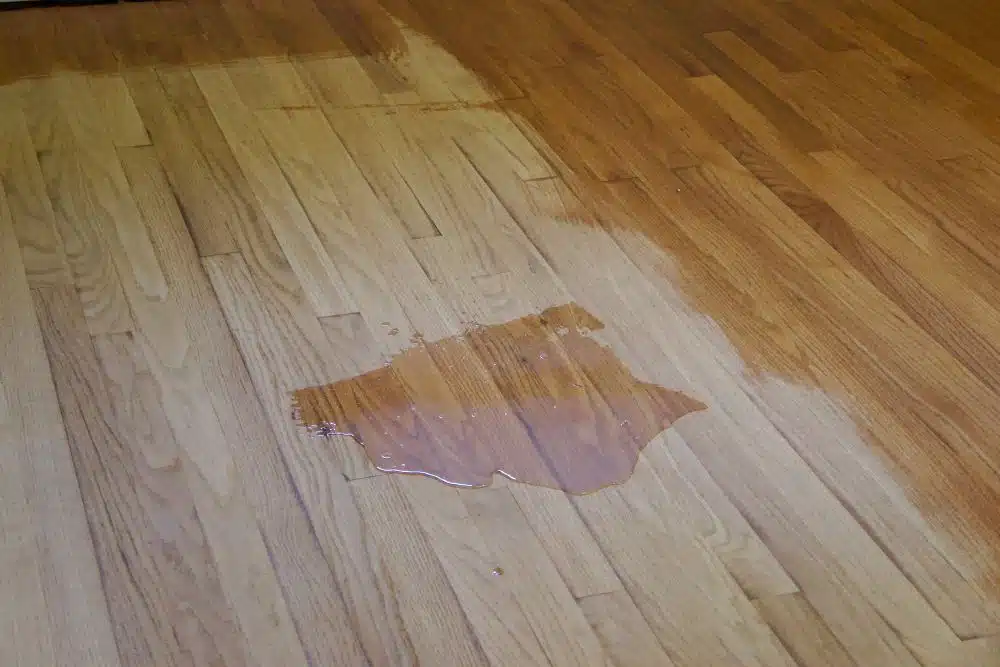 Hardwood floor refinishing Sammamish WA showing refinished and unfinished wood surface