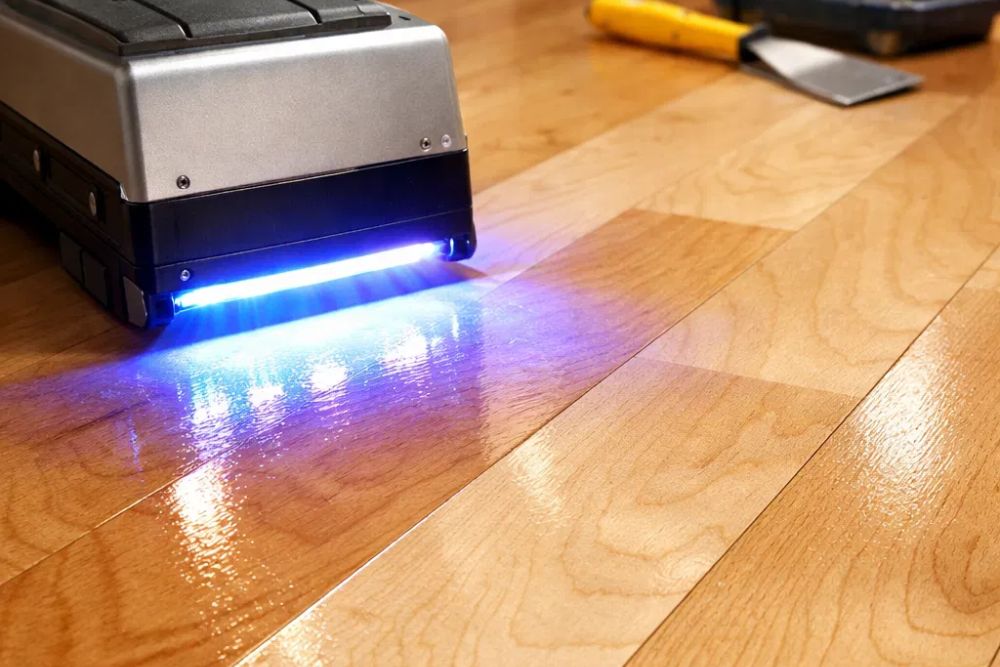 Close-up of maple hardwood floor undergoing Instant UV Curing Bellevue WA.
