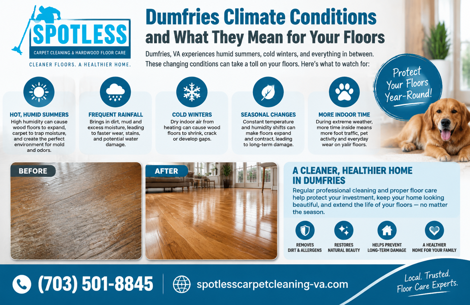 Spotless Carpet Cleaning infographic for Hardwood Floor Cleaning Dumfries VA on climate impacts, floor care, and a happy dog.